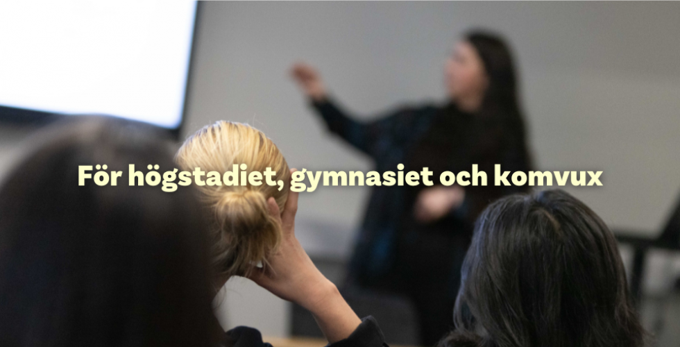 Person föreläser